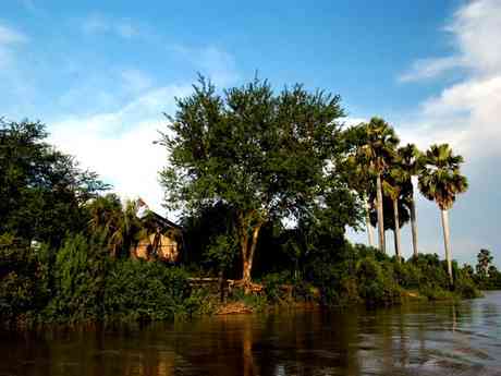 Selous Impala Camp